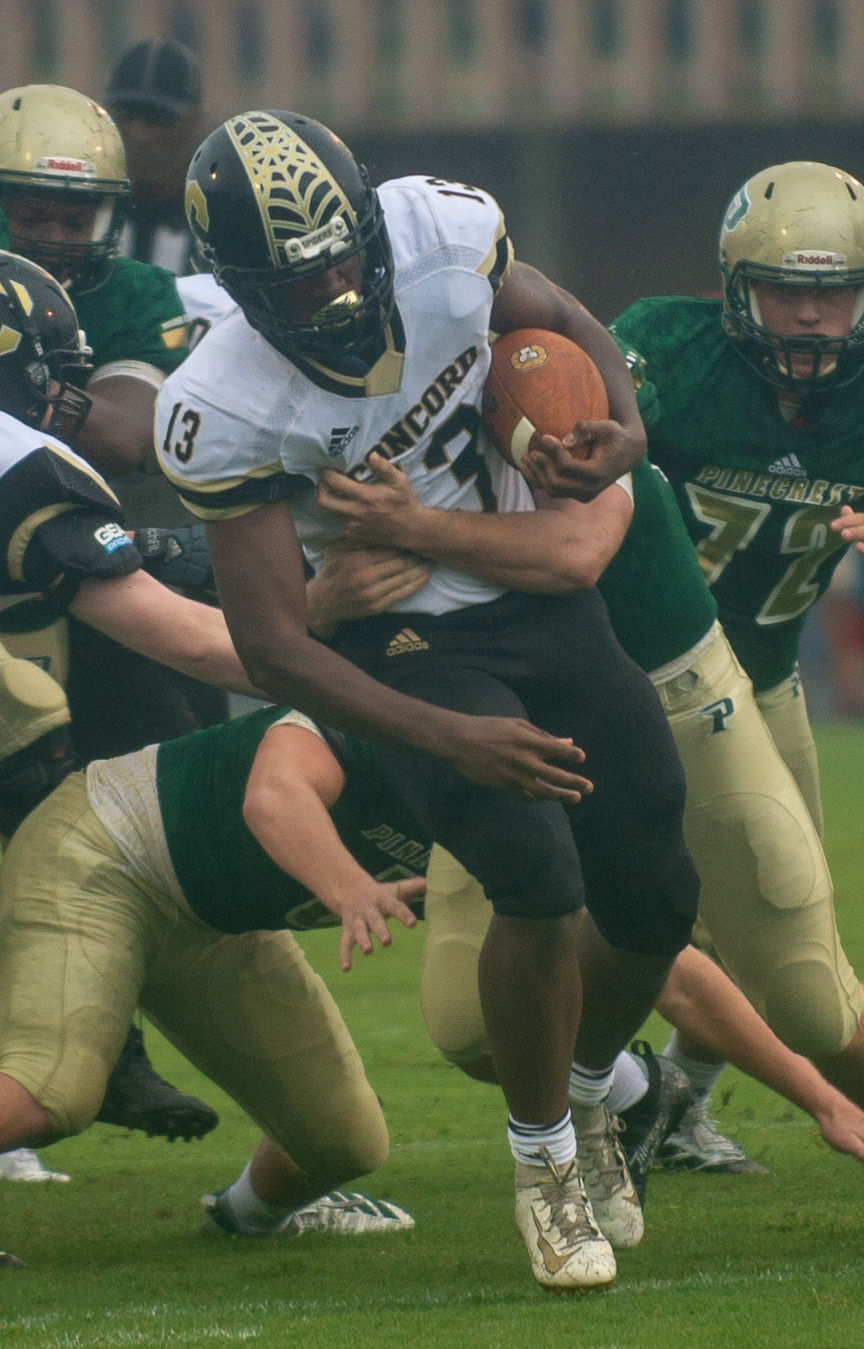 concord-Pinecrest 9.jpg